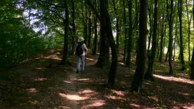 Kamera beyaz adam turist sırt çantası ve sopa ile ormanda Hiking izler. Yakın çekim shot. Yavaş hareket 4k