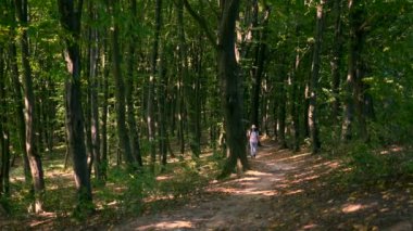  Sırt çantası ve sopa ile ahşap beyaz adam turist Hiking. Geniş Shot yavaş hareket 4k