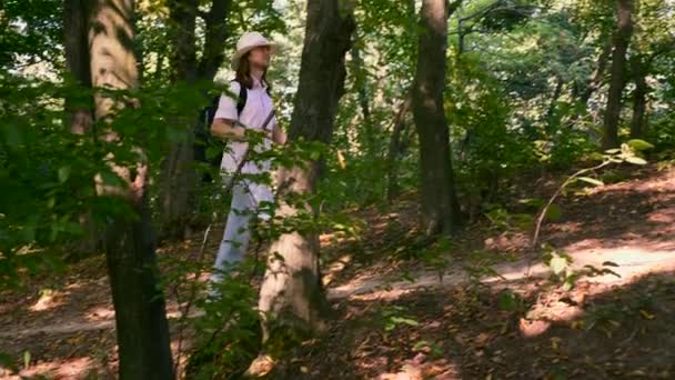 平移射击 白人游客徒步旅行在木头与背包和棍子 慢动作4K — 图库视频影像