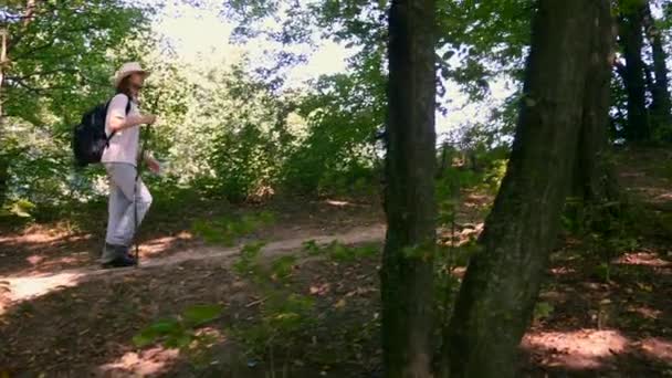 Panning Shot Caminhadas Turísticas Homem Branco Floresta Com Mochila Pau — Vídeo de Stock