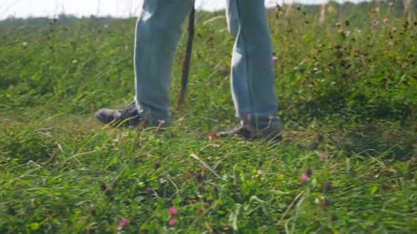 Le touriste grimpe sur la colline en marchant sur le sentier. Footsteps Gros plan. Chapeau avec sac à dos et bâton. Vue arrière. Mouvement lent 4K 