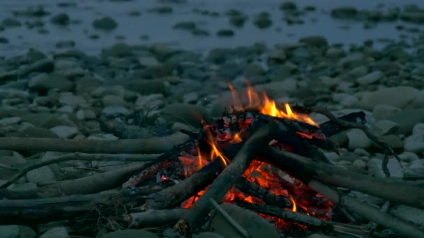Táborák Skalnatém Břehu Řeky Večer Mountians Poblíž Lesa Pozadí — Stock video