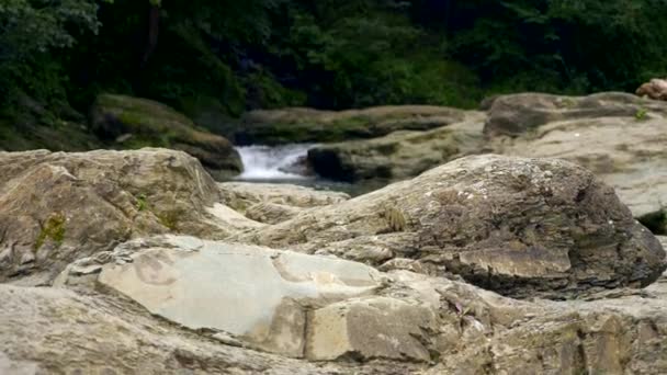 Camera Lifts Rocks Pedras Pedras Cachoeira Mountain River Stream Floresta — Vídeo de Stock