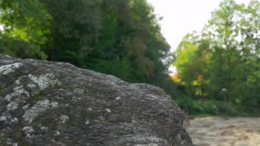 Ahşap dağ Nehri yakınında buzlu kamera taşır. Yaz güneşli gün. 4 k yavaş hareket