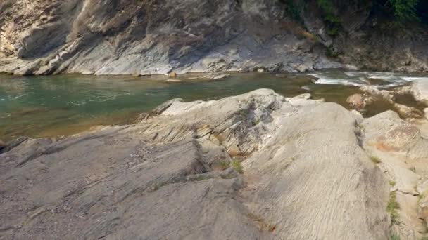 照相机倾斜到树上 山溪小河在岩石石头之间 夏季4K 慢动作 — 图库视频影像