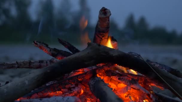 Close Shot Macro Burning Firewood Campfire Rocky River Shore Evening — Stock Video