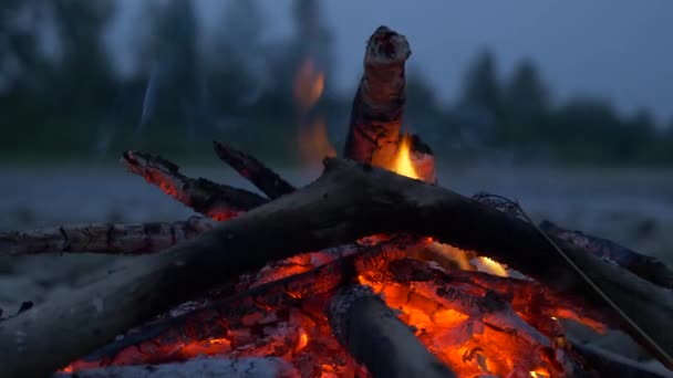 Närbild Skott Makro Brinnande Ved Lägereld Rocky River Shore Kväll — Stockvideo