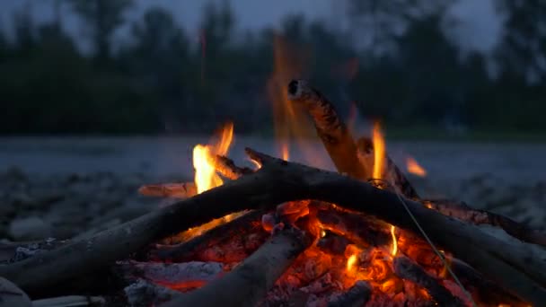 Close Shot Macro Burning Firewood Campfire Rocky River Shore Inglés — Vídeos de Stock