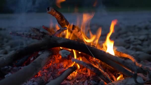 Primo Piano Macro Burning Firewood Campfire Rocky River Shore Sera — Video Stock
