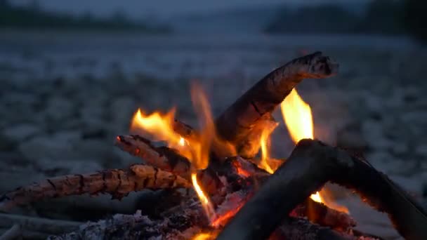 Yakın Çekim Shot Makro Yanan Odun Kamp Ateşi Kayalık Nehir — Stok video