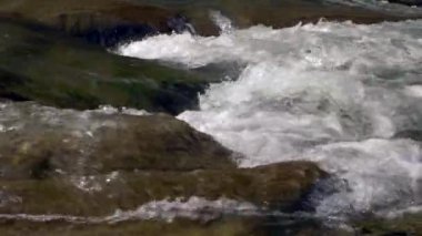 Yakın çekim Shot temiz su Rocky Nehri'nde. Dağ nehir şelaleler. Yavaş hareket 4k 30p 0,5 hızı 60 p