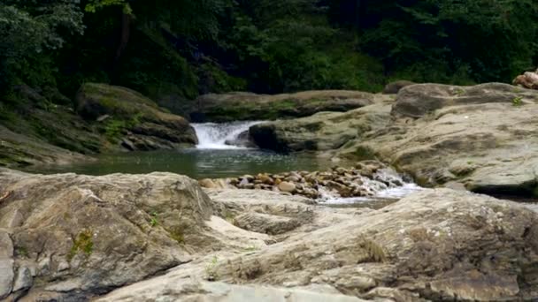 ジンバルのショット パノラマ滝岩石玉石 渓流川 森林木夏 のスローモーション — ストック動画