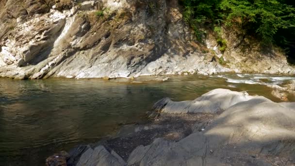 Gimbal Strzał Aparat Panoramowanie Powyżej Rocky Mountain River Drewnie Słoneczny — Wideo stockowe