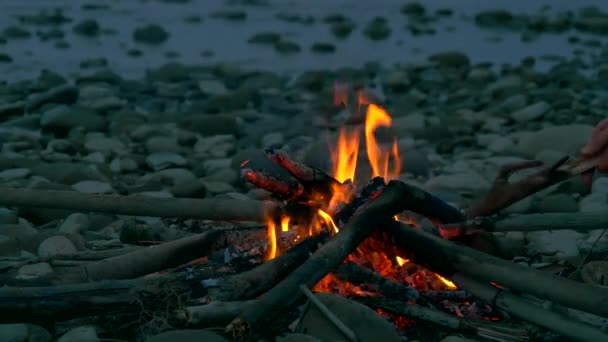 Rocky Nehir Kıyısında Kamp Ateşi Yakacak Odun Koyar Forest Yakınındaki — Stok video