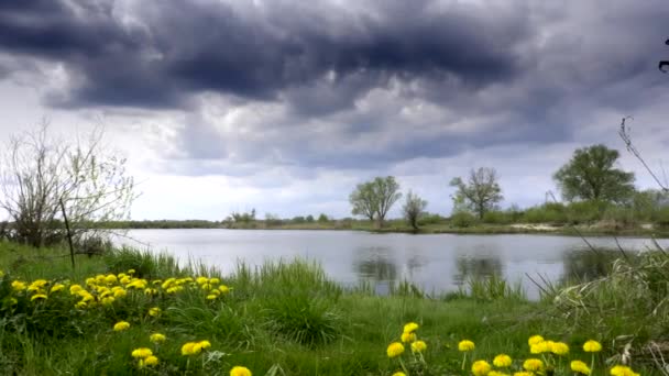 近河附近的蒲公英 重的戏剧性的云彩 — 图库视频影像