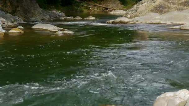 Berg Rivier Water Stroom Tussen Rotsen Zonnige Zomerdag — Stockvideo