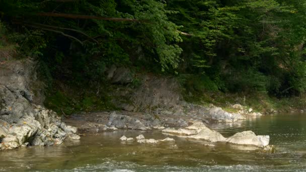 Närbild Mountain River Cascade Vattenfall Vattenströmmen Stenar — Stockvideo