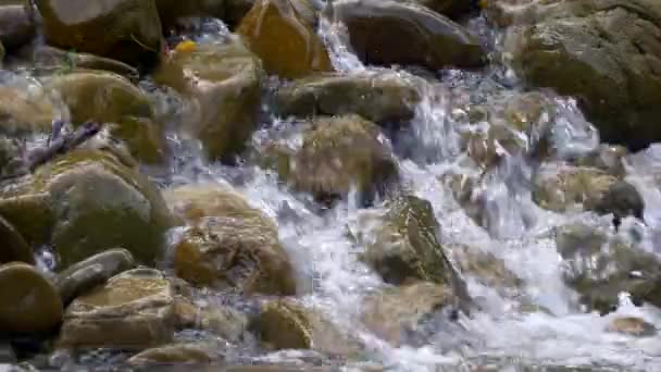 Close Berg Rivier Trapsgewijze Waterval Waterstraal Rotsen — Stockvideo