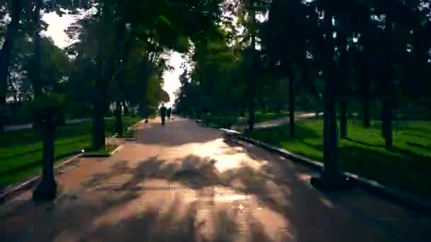 Time Lapse Camminando Lungo Sentiero Nel Parco Cittadino Margini Della — Video Stock