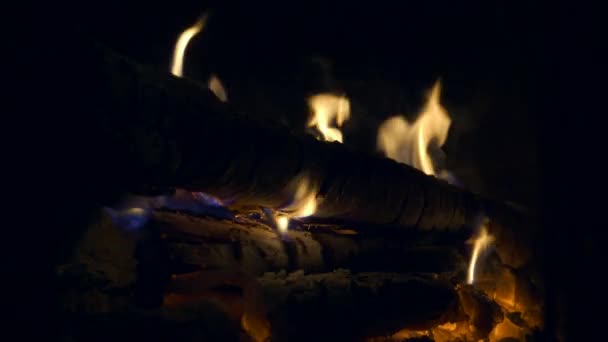 Close Burning Firewood Fireplace — Stock Video