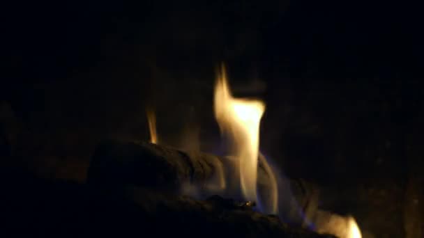 Close Burning Firewood Fireplace — Stock Video