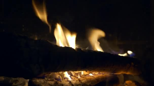 벽난로 불타는 장작을 클로즈업 — 비디오