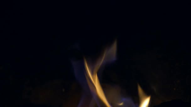 Крупный План Burning Firewood Fireplace — стоковое видео