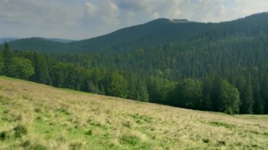 Yalpa atış. Dağ yolundan vadiye yürüyüş kamera. Panorama ahşap yaz güneşli bir günde