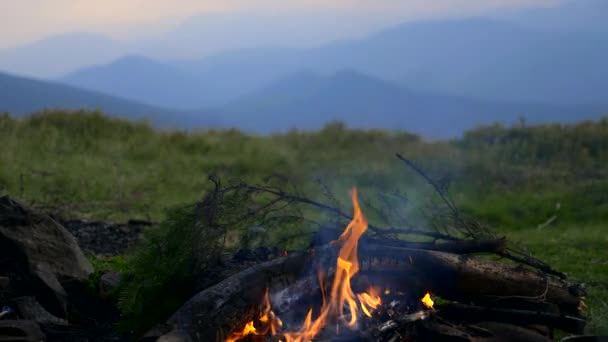 Táborák Vrcholu Hory Zelená Tráva Borové Lesy Blue Mountain Ridge — Stock video