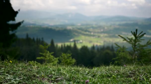 Gros Plan Herbe Sur Sommet Montagne Arrière Plan Flou Village — Video