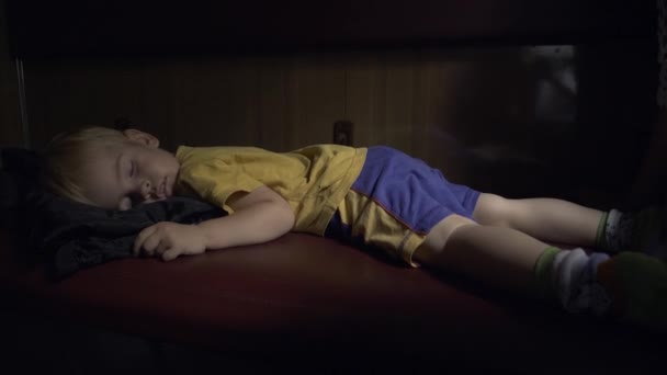 Kinderen Slapen Buurt Van Moeder Passagier Trein Vervoer Familie Reizen — Stockvideo
