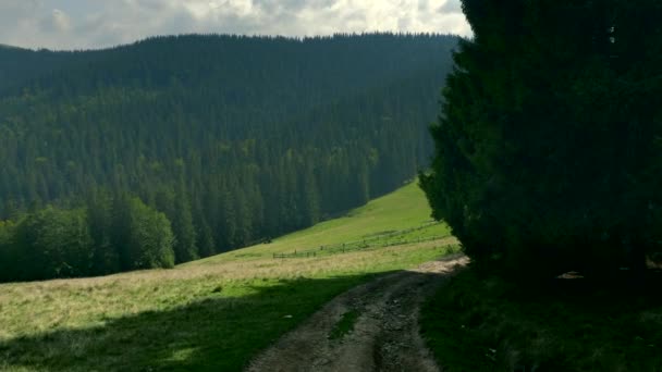 Schuss Kamera Fuß Die Bergstraße Hinunter Ins Tal Panorama Sommer — Stockvideo