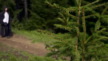Siyah pelerin palto Hood ile Ortaçağ gizemli aylak adam ormanda yürür. Misyoner Keşiş Dağı ormanda