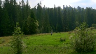 Siyah pelerin palto Hood ile Ortaçağ gizemli aylak adam ormanda yürür. Misyoner Keşiş Dağı ormanda