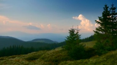 Doğa manzaralı Panorama görünüm dağın zirvesinde. Karpat Dağları doruklarına. Bulutlar ormanda çayır çimen