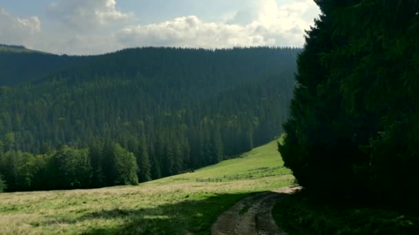 Panorama Nuages sur les montagnes couvertes de forêts. Journée ensoleillée d'été dans le bois 