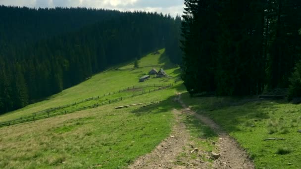 Fából Készült Ház Erdőben Hegy Zöld Rétek Napsütéses Nyári Napon — Stock videók