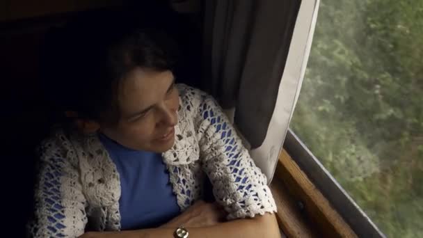 Jeune Femme Regardant Dans Fenêtre Train Voyages Touristiques Féminins Train — Video