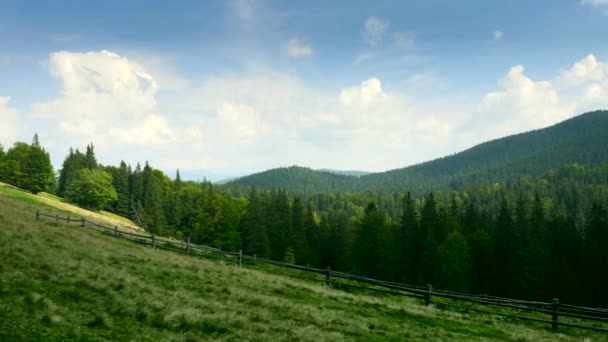 Holzhaus Wald Auf Dem Berg Grüne Wiesen Sonniger Sommertag Den — Stockvideo