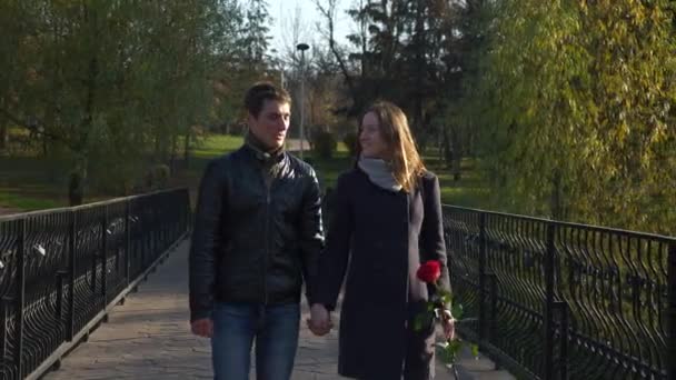 60P 快乐夫妇在城市公园的桥梁 浪漫的约会 快乐的男人和女人牵手 — 图库视频影像