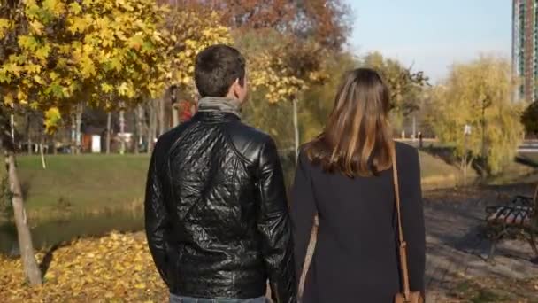 60P Jeune Couple Sortir Ensemble Promenade Romantique Dans Parc Municipal — Video