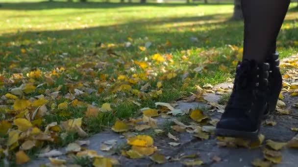 特写女性脚步慢动作 城市公园绿草草坪上的黄叶 明亮的阳光明媚的秋日早晨晚上 — 图库视频影像
