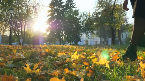 Gros Plan Female Footsteps Ralentissez Feuilles Jaunes Sur Gazon Vert — Video