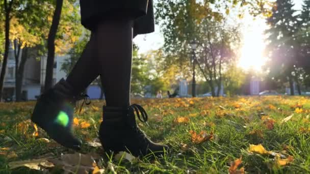 クローズ アップ女性の足跡のゆっくりな動き 都市公園における緑の草の芝生の上の黄色の葉 明るく晴れた秋の朝夜 — ストック動画