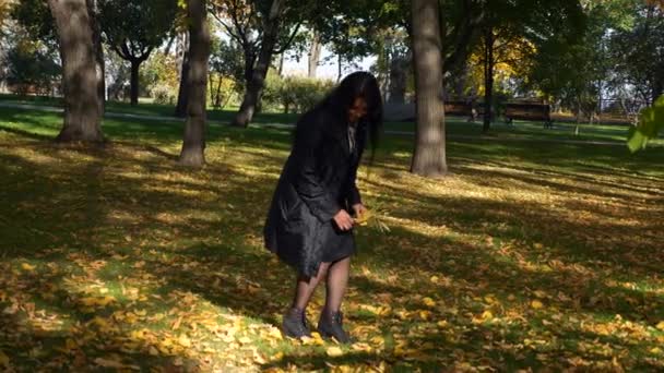 Menina Morena Bonita Reúne Folhas Amarelas Grama Verde Parque Cidade — Vídeo de Stock