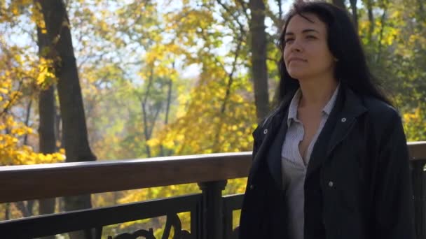 Ağaçlara Arıyorum Şehir Park Yürüyordunuz Romantik Güzel Kız Bırakır Sonbahar — Stok video