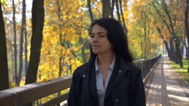 Ağaçlara Arıyorum Şehir Park Yürüyordunuz Romantik Güzel Kız Bırakır Sonbahar — Stok video