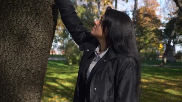 木に触れます 市内で考えて美しい少女散歩公園秋の晴れた朝 — ストック動画