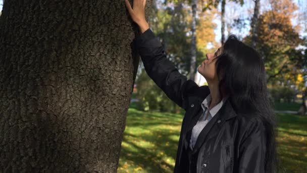 Att Röra Trädet Vacker Flicka Promenader Tänkande Staden Parkera Hösten — Stockvideo