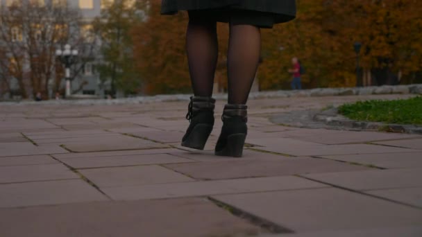 石水舗装に女性の足跡をクローズ アップ が遅い運動 Fps 都市公園を歩いています 朝の時間を夜 — ストック動画